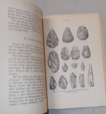 Evoluzionismo, Storia Naturale, Geologia, Teoria Fissista, Darwin, Lamarck, Tower, 1949