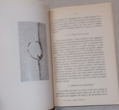 Evoluzionismo, Storia Naturale, Geologia, Teoria Fissista, Darwin, Lamarck, Tower, 1949