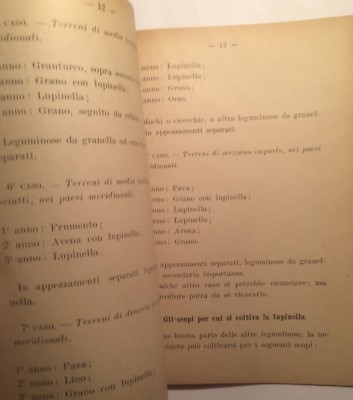 Agraria: Foraggio, Fieno, Coltivazione Della Lupinella. Barontini, Artista Stagliano