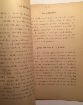 Agraria: Foraggio, Fieno, Coltivazione Della Lupinella. Barontini, Artista Stagliano
