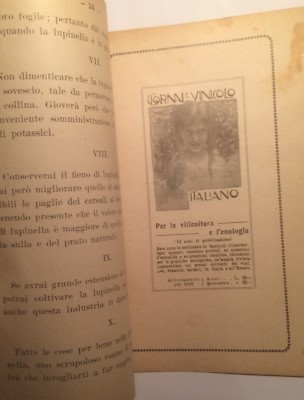 Agraria: Foraggio, Fieno, Coltivazione Della Lupinella. Barontini, Artista Stagliano