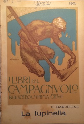 Agraria: Foraggio, Fieno, Coltivazione Della Lupinella. Barontini, Artista Stagliano