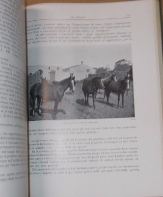 Sardegna E Corsica: Arte, Storia Locale, Turismo E Folklore, 1932