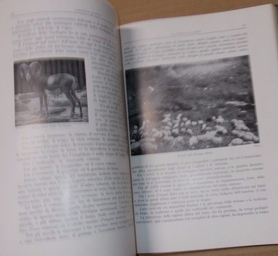 Sardegna E Corsica: Arte, Storia Locale, Turismo E Folklore, 1932