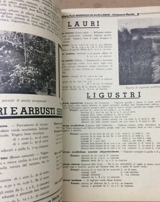 Agraria, Botanica, Ortaggi: Catalogo Pubblicitario, Marche, Civitanova Marche, Giustozzi, 1939