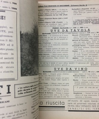 Agraria, Botanica, Ortaggi: Catalogo Pubblicitario, Marche, Civitanova Marche, Giustozzi, 1939