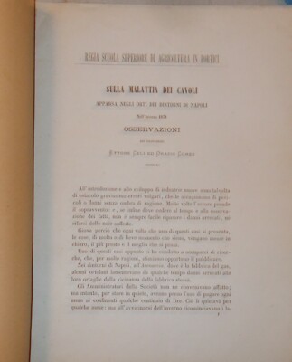 Agraria, Ortaggi E Orticoltura: Cavoli A Napoli E Portici   Ettore Celi E Orazio Comes (1878)