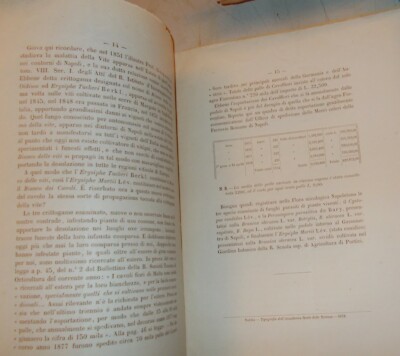 Agraria, Ortaggi E Orticoltura: Cavoli A Napoli E Portici   Ettore Celi E Orazio Comes (1878)