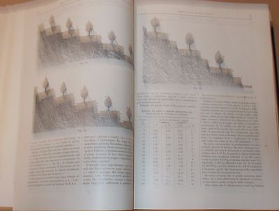 Miglioramenti Fondiari E Lavori Agrari Del Terreno