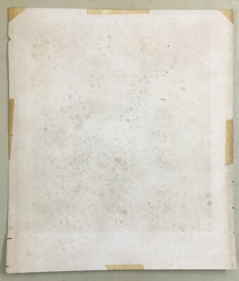 Ritratto d'Uomo Con Barba Bianca, Litografia Di Chabert Da Franquinet (Mengs), XIX Secolo.