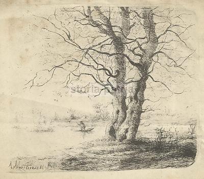 Arte Europea Dell'800. Paesaggio Con Albero E Barca. Mathieu. Antica Stampa.