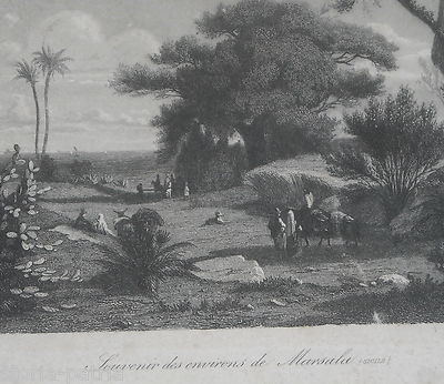 Sicilia, Dintorni Di Marsala: Antica Veduta Panoramica Di Paul Girardet E Jean Nicolas Henri De Chacaton
