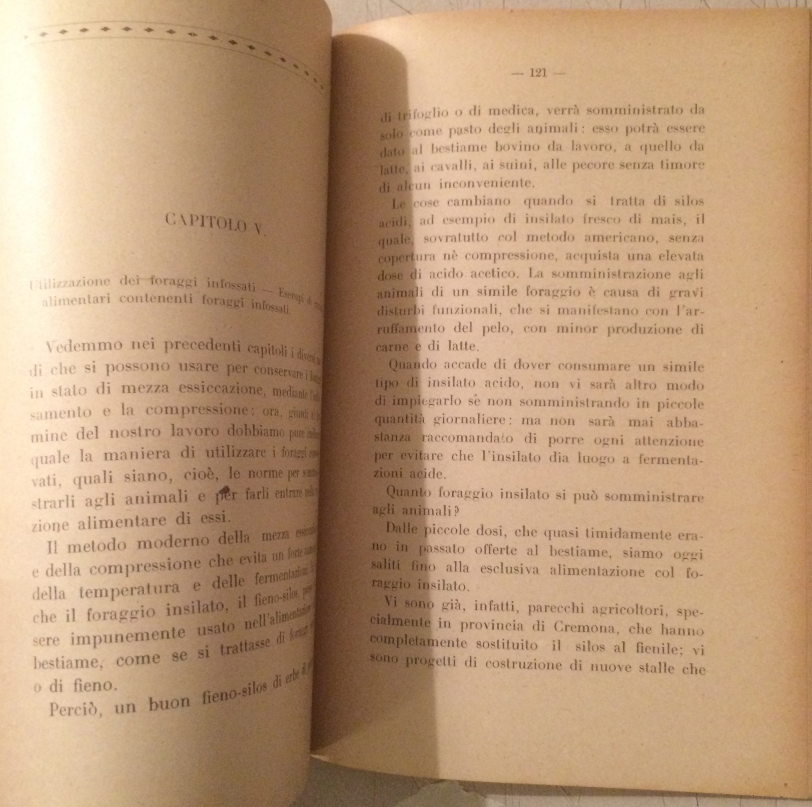 Agraria, Agricoltura: Foraggi In Fosse E Silos (Crema, Varano Borghi, Cascinette), 1930