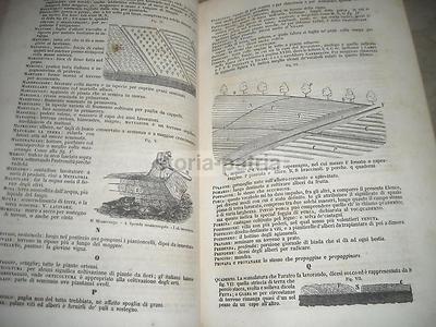 Agraria, Storia Naturale, Chimica, Fisica, Geologia, Mineralogia, Astronomia   Carlo Berti Pichat (1851)