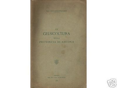 La Gelsicoltura Nella Provincia Di Ancona, Giovanni Corallini, 1908