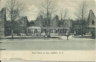 America, Buffalo, Giardino Zoologico: Antica Veduta, Cartolina Da Collezione, Orso