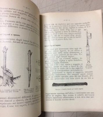 Nozioni Di Viticoltura Moderna (G. Dalmasso, 1939)