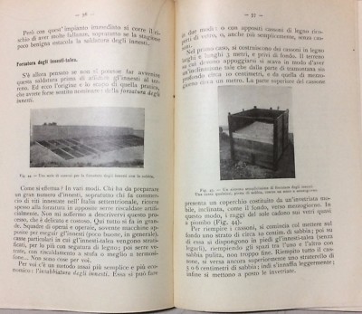 Nozioni Di Viticoltura Moderna (G. Dalmasso, 1939)