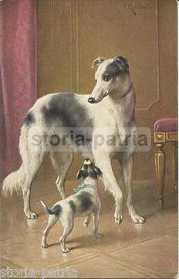 Arte Cinofilia: Veduta Di Interno Elegante Con Cani. Cartolina Illustrata