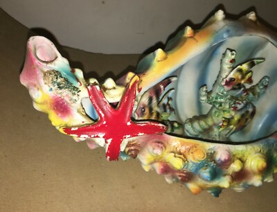 Storia Naturale: Composizione Artistica In Ceramica Con Conchiglia Marina E Pesci