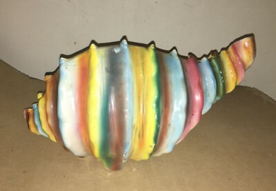 Storia Naturale: Composizione Artistica In Ceramica Con Conchiglia Marina E Pesci