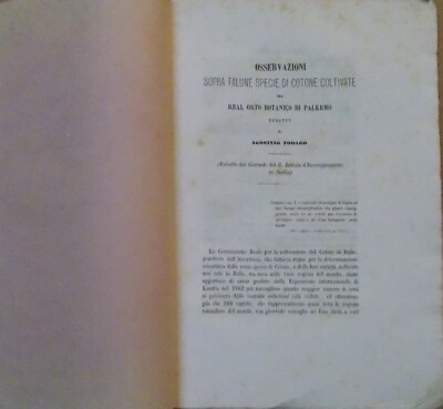 Storia Naturale, Botanica: Cotone, Sicilia, Palermo, Orto Botanico, Todaro, '800