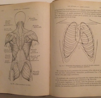 Medicina: Pronto Soccorso. Manuale Dell'Infermiere Della Croce Rossa Francese Illustrato