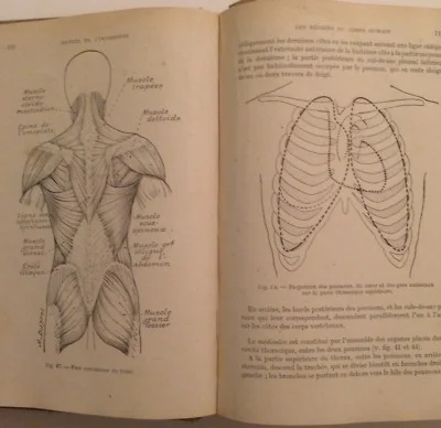 Medicina: Pronto Soccorso. Manuale dell'Infermiere della Croce Rossa Francese Illustrato