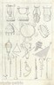 Musica, Canto, Antichi Strumenti Musicali: Cetre, Tamburelli, Flauti. Antica Stampa