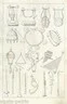 Music, Singing, Antique Musical Instruments: Zithers, Tambourines, Flutes. Antique Print