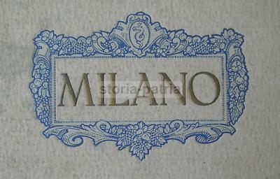 Milano Inusuale: Antico Album Fotografico Con Vedute d'Epoca Stereoscopiche   Tradate