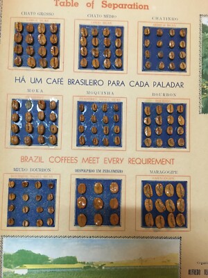 Pannello Pubblicitario Vintage Caffè O Ouro Do Brasil Con Campionario Di Chicchi E Varietà