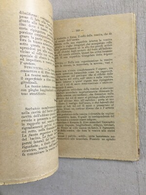 Compendio Di Anatomia Descrittiva Del Cavallo   Ugo Barpi, 1900