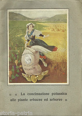 La Concimazione Potassica Alle Piante Erbacee Ed Arboree V. Manvilli