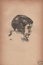 Arte: Xilografia d'Epoca Di Mino Maccari, "Ritratto Di Giovane"