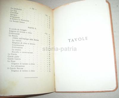 Agricoltura: Foraggi, Tuberi, Soia, Bietola, Carote, Cavolo, Fave, Mais, Senape E Avena 1926