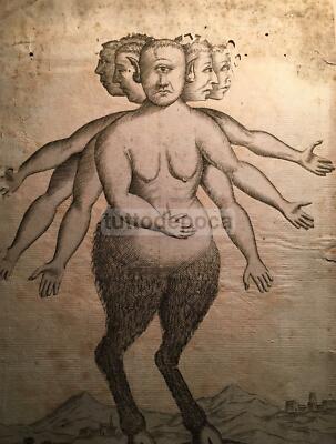 Medicina, Scienze, Mostruosità: Canigó, Catalogna. Mostro Uomo Animale, 1654
