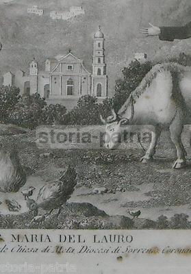 Campania, Sorrento, Antica Stampa Popolare Devozionale, S. Maria Del Lauro, Artista Aloja