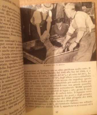 Attività Del Governo Militare Alleato E Della Commissione Alleata Di Controllo In Italia (1943 1945)