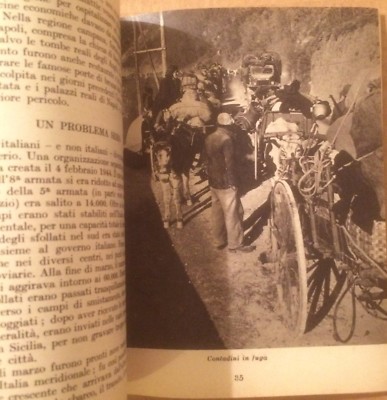 Attività Del Governo Militare Alleato E Della Commissione Alleata Di Controllo In Italia (1943 1945)
