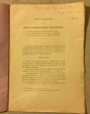 Storia Naturale, Botanica, Fiori, Ortensie, Portici, Freda, Antica Edizione, 1877