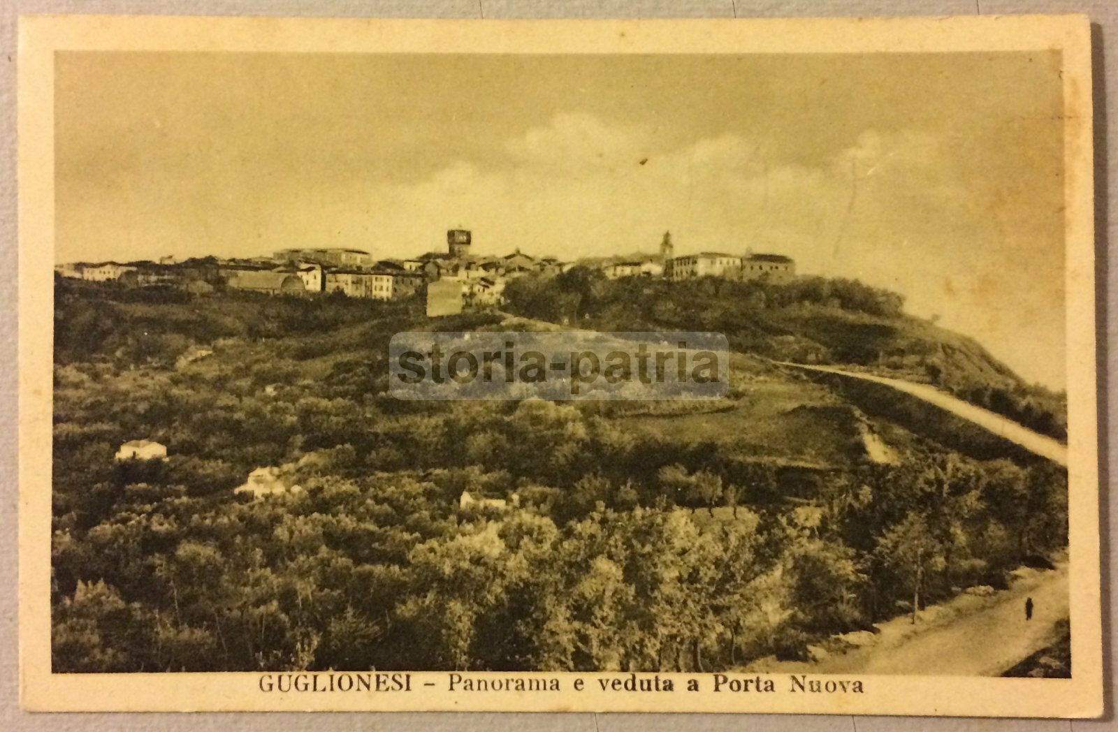 Molise, Guglionesi: Veduta Panoramica, Cartolina d'Epoca. Fusco, Venditti, Ragazzi