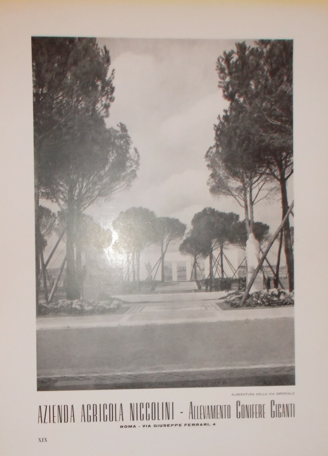 Miniere Di Selenizza (Albania) E Azienda Agricola Niccolini (Roma), 1942
