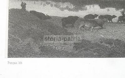 Arte Oriente: Suggestiva Veduta Pastorale E Orientalista, Artista Marilhat, Litografia