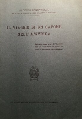 Irpinia, Avellino, Emigrazione In America: New York, De Pace, Di Juglio, Pisani, Morena