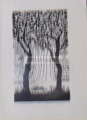 Mostra Nazionale d'Arte Ispirata Alla Montagna: Matese 1952 Arte, Folklore E Futurismo