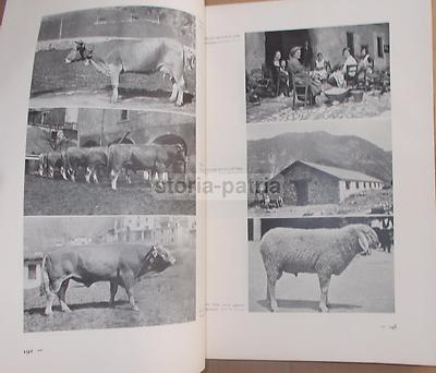 Agricoltura Regionale Italiana: Zootecnia, Vigne, Oliveti, Cereali, Pastorizia (2 Volumi)