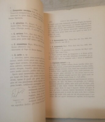 Storia Naturale: Entomologia. Le Formiche Del Museo Civico Di Genova (Emery, 1877)