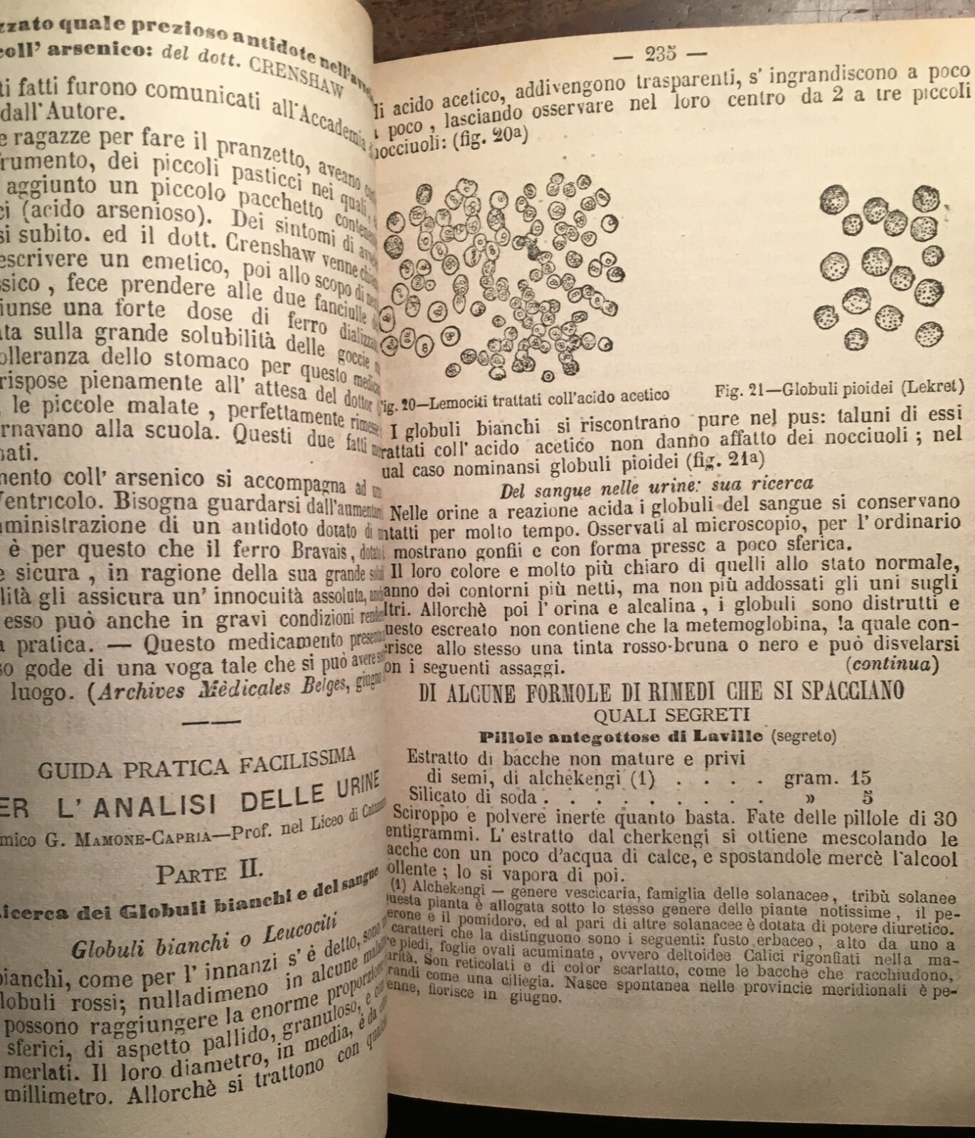 Medicina, Farmacia, Chimica Ed Erboristeria A Napoli. Prota Giurleo: Antico Ricettario (1879 1880)