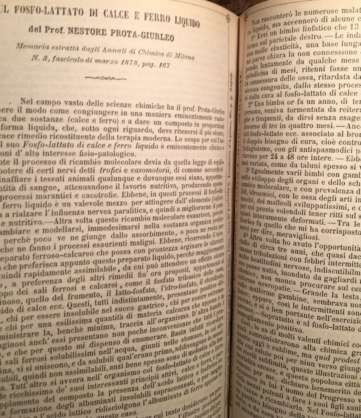 Medicina, Farmacia, Chimica Ed Erboristeria A Napoli. Prota Giurleo: Antico Ricettario (1879 1880)